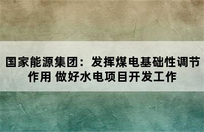 国家能源集团：发挥煤电基础性调节作用 做好水电项目开发工作